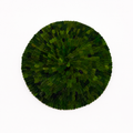 Round Boxwood Placemat
