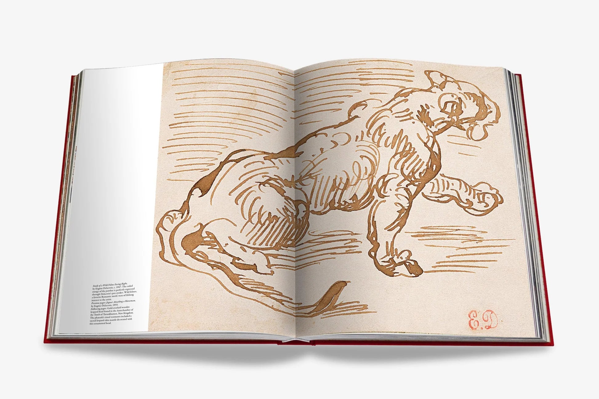 The Cartier Panthère Book